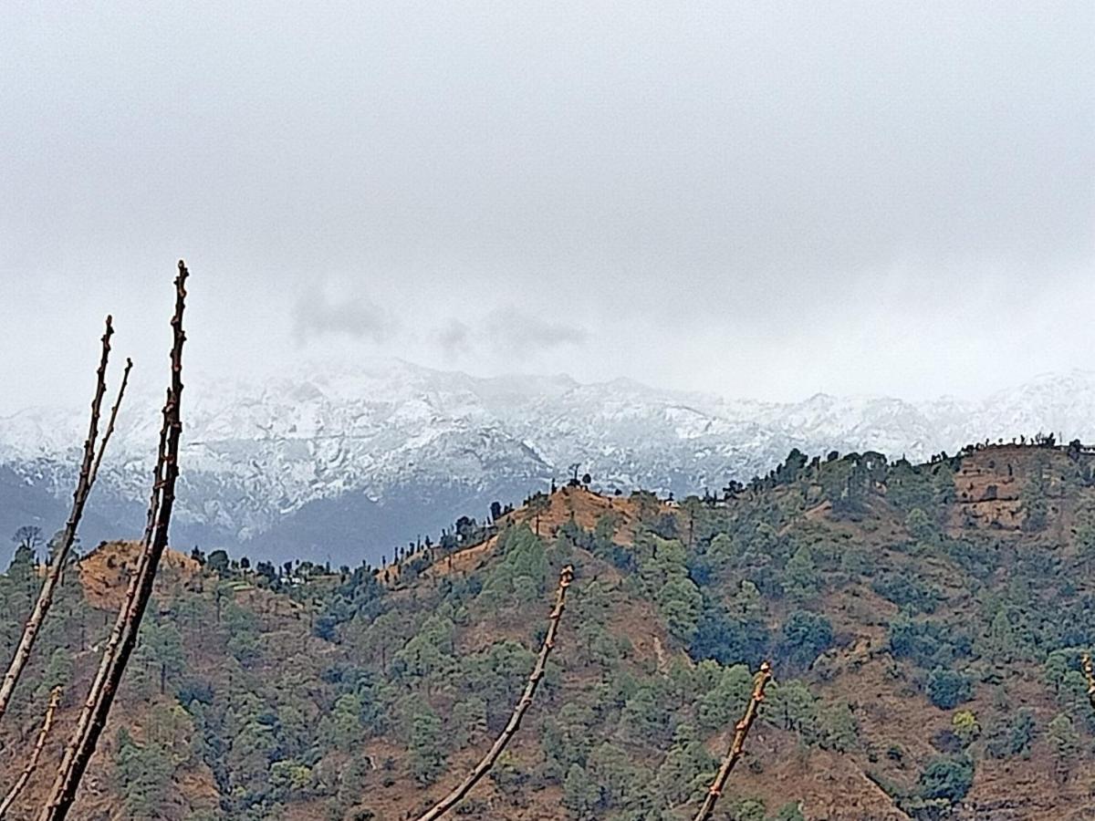 Shiva Valley Resort Kokhliyal Gaon 외부 사진