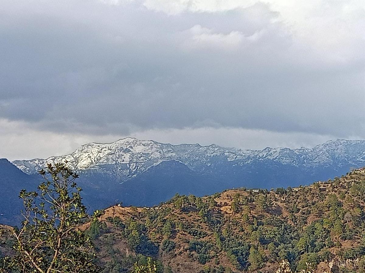 Shiva Valley Resort Kokhliyal Gaon 외부 사진