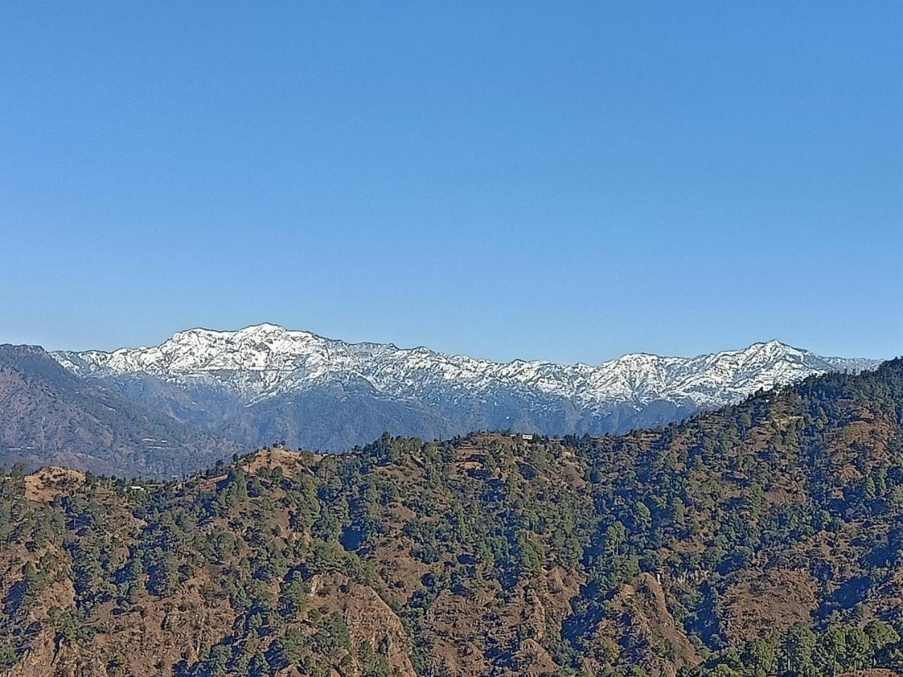 Shiva Valley Resort Kokhliyal Gaon 외부 사진